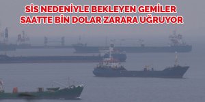 Sis nedeniyle bekleyen gemiler saatte bin dolar zarara uğruyor