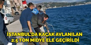 İstanbul'da kaçak avlanılan 2.5 ton midye ele geçirildi