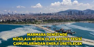 Marmara Denizi'nde müsilaja neden olan arıtma tesisi çamurlarından enerji üretilecek