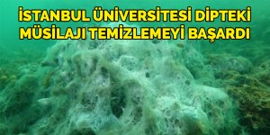İstanbul Üniversitesi dipteki müsilajı temizlemeyi başardı