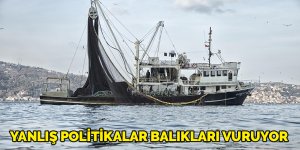 Yanlış politikalar balıkları vuruyor