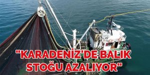 "Karadeniz'de balık stoğu azalıyor"
