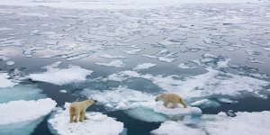 BM Genel Sekreteri Guterres: "İklim Alanında Son Hız Harekete Geçmemiz Gerekiyor"