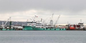 Karadeniz'de Deniz Suyu Sıcaklığının Düşmemesi Balıkçıları Olumsuz Etkiledi