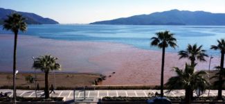 Marmaris'te deniz kızıla boyandı