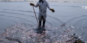 Peru'da Petrol Sızıntısı Deniz Canlılarını Tehdit Ediyor