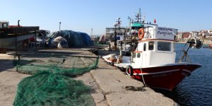 Tekirdağ'da Balıkçılar Yasağın Bitmesinin Ardından Karides İçin Denize Açılacak