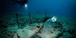 Plastik Atıklar Denizlerde Biyoçeşitliliği Olumsuz Etkiliyor