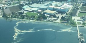 Karamürsel'de Deniz Yüzeyinde Kirlilik Oluştu