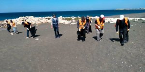 Hatay Sahillerinde Suriye Kaynaklı Deniz Kirliliği Kalıntılarına Rastlandı