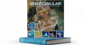 Türkiye'nin En Kapsamlı "Deniz Canlıları" Kaynağı Okuyucuyla Buluştu