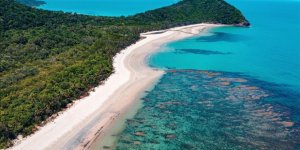 Avustralya: Bu Yıl Büyük Mercan Resifi'nin Yüzde 90'ında Ağarma Görüldü