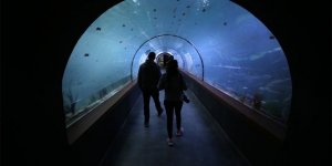 Tarihi Vadilerin Arasındaki "Tünel Akvaryum" 19 Mayıs'ta Açılıyor