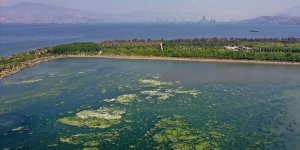 İzmir Körfezi'nde Kötü Koku Sıcaklığın Yükselmesiyle Etkisini Artırdı