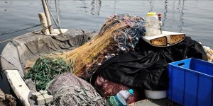 Küçük Balıkların Avlanması Marmara'daki Ekosistemi Tehdit Ediyor