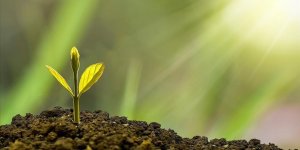 Türkiye Çevre Haftası 'Sıfır Atık' Temasıyla Kutlanacak