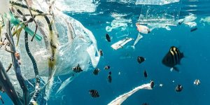 Plastik Atıklar ve Küresel Isınma Nedeniyle Okyanuslar Alarm Veriyor