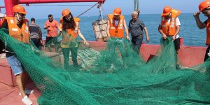 Küresel İklim Değişikliğinin İskenderun Körfezi'ne Etkileri Araştırılıyor