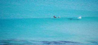 Arkasındaki tehlikeyi fark etmedi