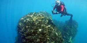 Van Gölü'ndeki Mikrobiyalitler Su Altı Kamerasında