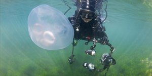 Gemlik Körfezi Su Altı Kamerasıyla Görüntülendi