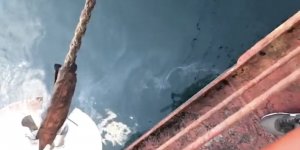 İzmit Körfezi'ni Kirleten Gemiye 8 Milyon 415 Bin Lira Ceza Kesildi