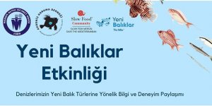 Yeni Balıklar Etkinliği
