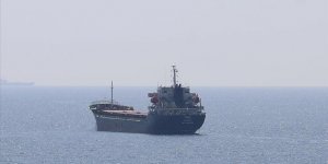 Ukrayna'dan Ayçiçeği Tohumu Taşıyan Gemi Tekirdağ'a Ulaştı