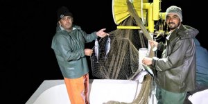 Karadeniz'de Ağlar Palamutla Doldu