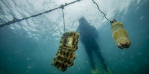 Çanakkale'de Denizlerde Kirlenmeye Dikkati Çeken 'Dijital Okyanus Tüneli' Kurulacak