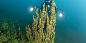 Van Gölü mikrobiyalitleri bölgenin iklim tarihine ışık tutabilir