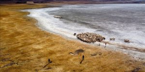 Van'daki Tuz Gölü Kuraklık ve Aşırı Buharlaşma Nedeniyle Yeniden Kurudu