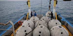 İskenderun Körfezi'ne Bırakılan Yapay Resiflerle Canlı Çeşitliliği Artacak