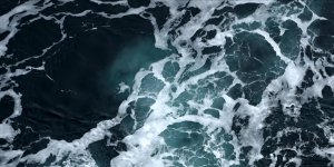 Okyanusların Karbon Tutma Kapasitesi Risk Altında