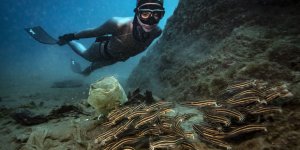 Şahika Ercümen deniz yaşamının korunması için farkındalık dalışı gerçekleştirdi