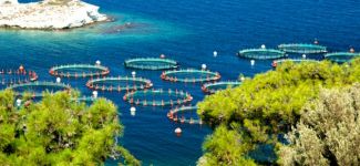 Karaburun'da balık çiftliklerine hayır!