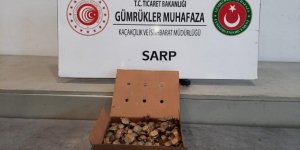 Su Kaplumbağalarını Türkiye’ye Sokmaya Çalışırken Sınırda Yakalandı