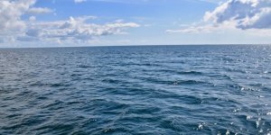 Artvin'de Denize Düşen Kamyonetteki Kişi Öldü