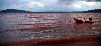 Bodrum'da deniz renk değiştirdi