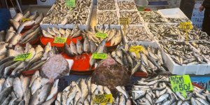 Düzce'de Av Yasağı Balık Fiyatlarını Yükseltti