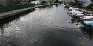 Küçükçekmece'deki Menekşe Deresi'nin Rengi Değişti