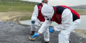 Sazlıbosna Barajına, Kimyasal Madde Döküldüğü İddiası