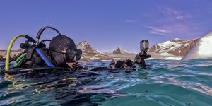 Türk Bilim İnsanları Antarktika'da Kirliliğin İzini Sürüyor