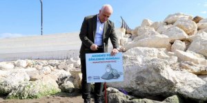 Mersin'de Akdeniz Fokları İçin Uyarı Tabelası Dikildi