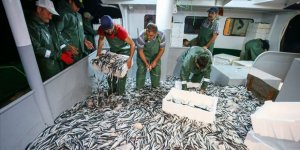Türk Balıkçıların Balığı Bitirdikleri İddiaları Yalanladı