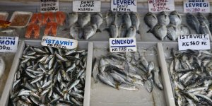 Ramazanda Tezgahların Gözdesi "İstavrit" Oldu