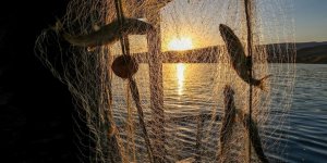 Sürdürülebilir Balıkçılık İçin Avlanma Yasağına Uyulması Çağrısı