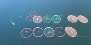 Türkiye Su Ürünleri Yetiştiriciliğinde Avrupa'nın Zirvesinde