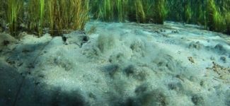 Sakarya Nehri'nin kaynağı görüntülendi