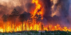 Antalya Orman Yangınlarıyla Mücadeleye Hazır
